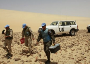The Western Sahara Saga: To Be Continued